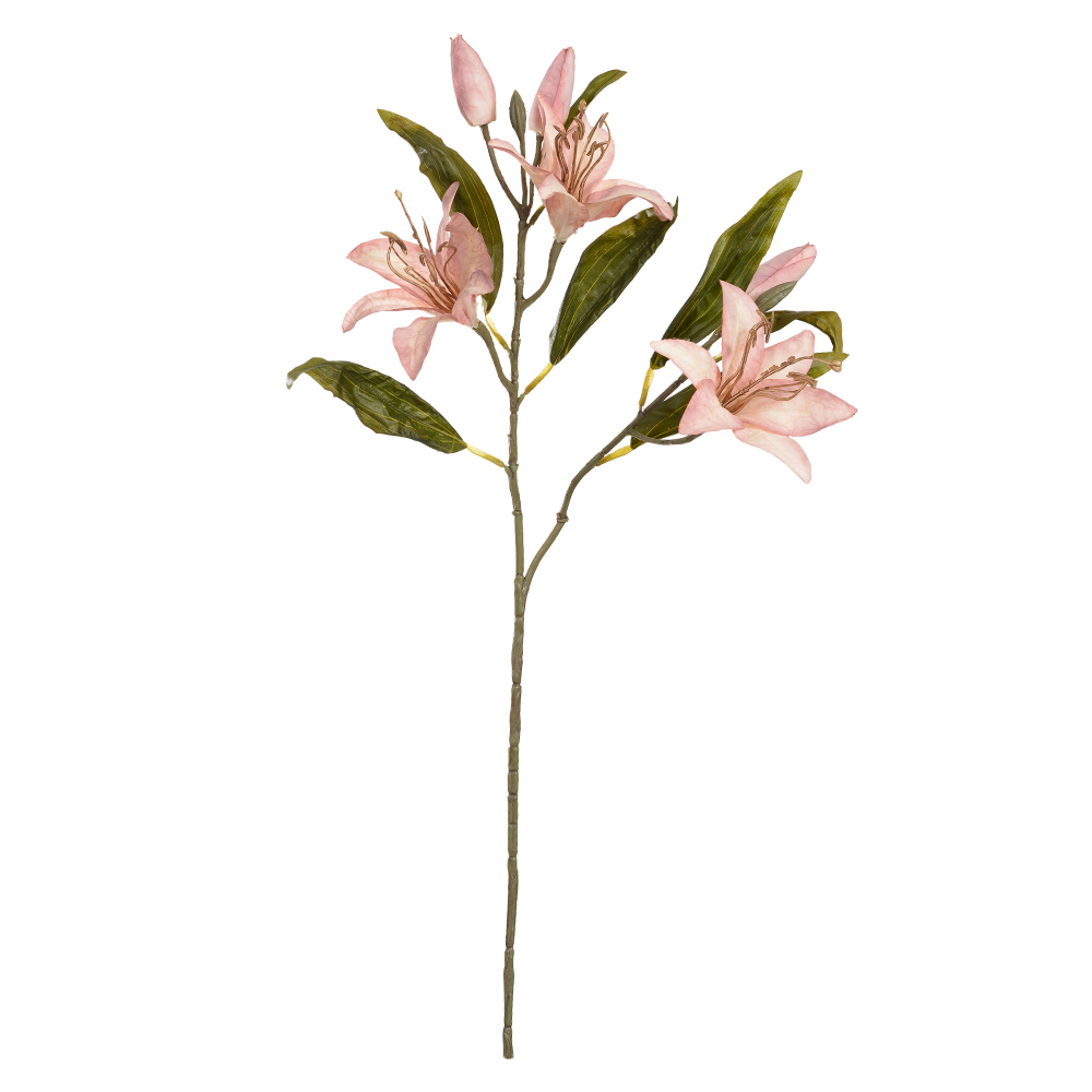 H.LIRIO X6 (ROSA OUTONO ANTIGO) 77cm