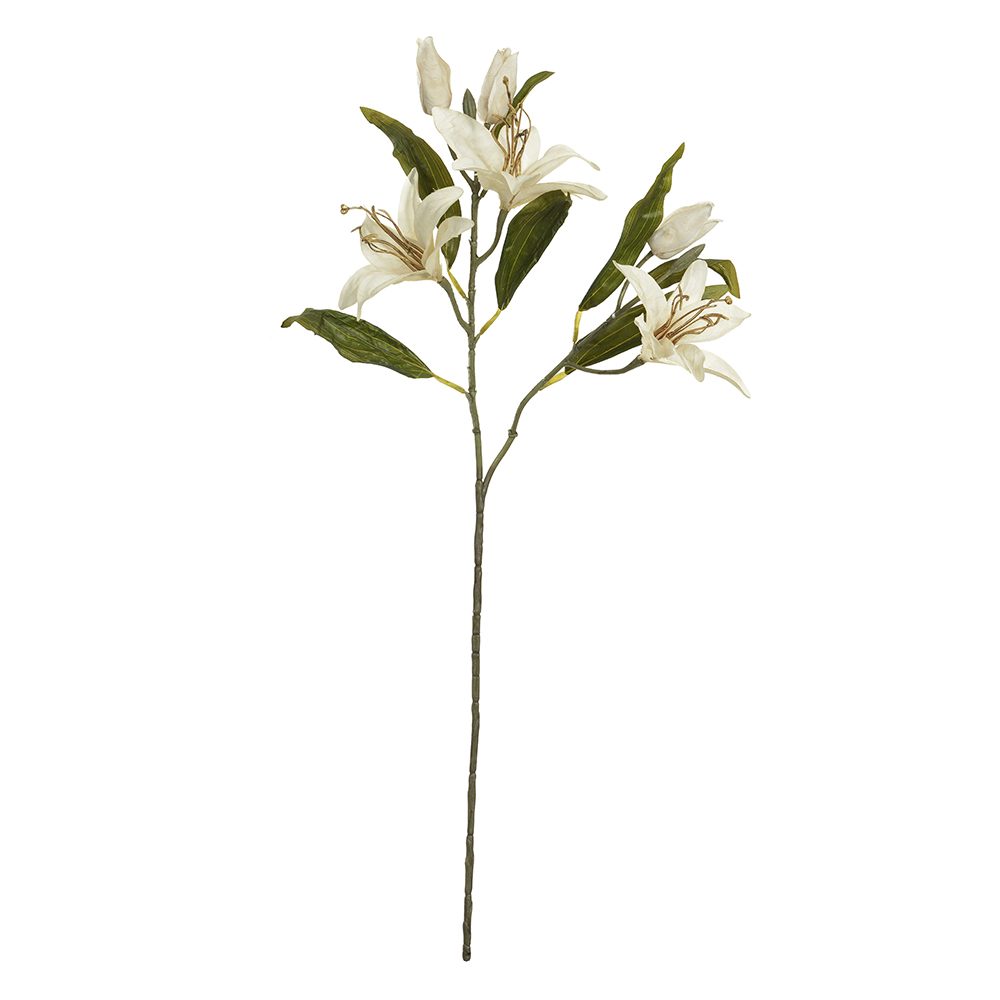 H.LIRIO X6 (CREME OUTONO) 77cm