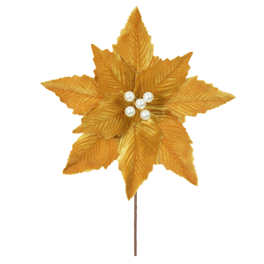 H.BICO DE PAPAGAIO NATAL AVELUDADO (DOURADO) 25cm 30d