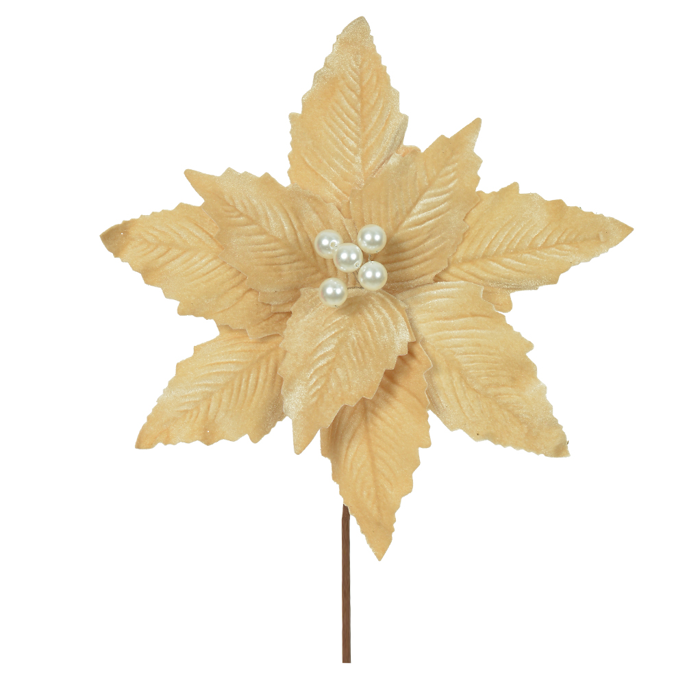 H.BICO DE PAPAGAIO NATAL AVELUDADO (CHAMPANHE) 25cm 30d