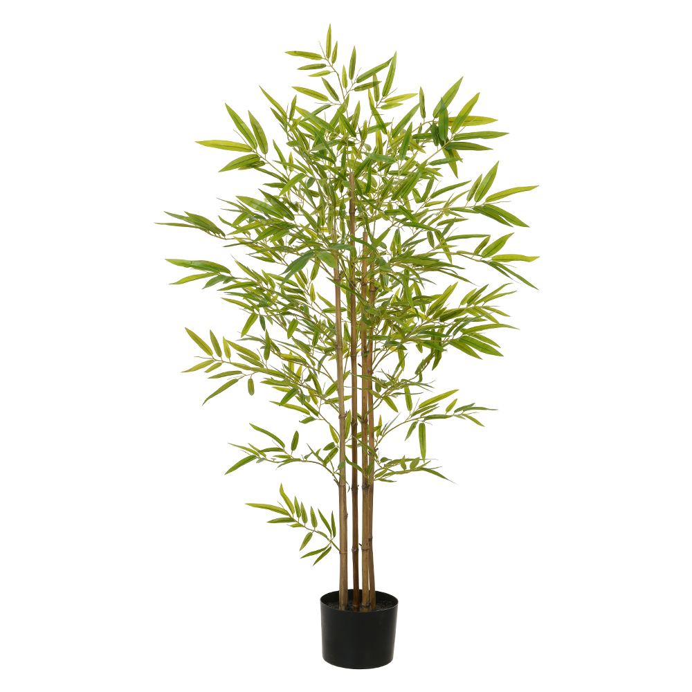 A.BAMBOO REAL TOQUE C/POTE X762 (VERDE) 1,2m