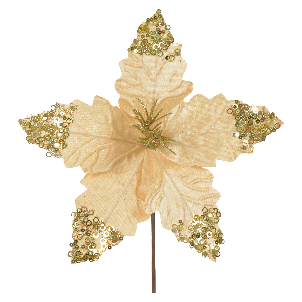 H.BICO DE PAPAGAIO NATAL AVELUDADO (DOURADO) 25cm 26d