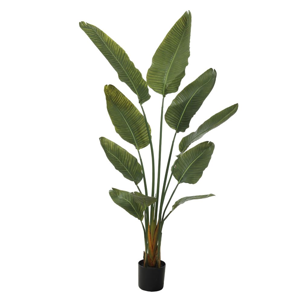 A.BANANEIRA DE JARDIM REAL TOQUE UV C/POTE X10 (VERDE) 1,6m