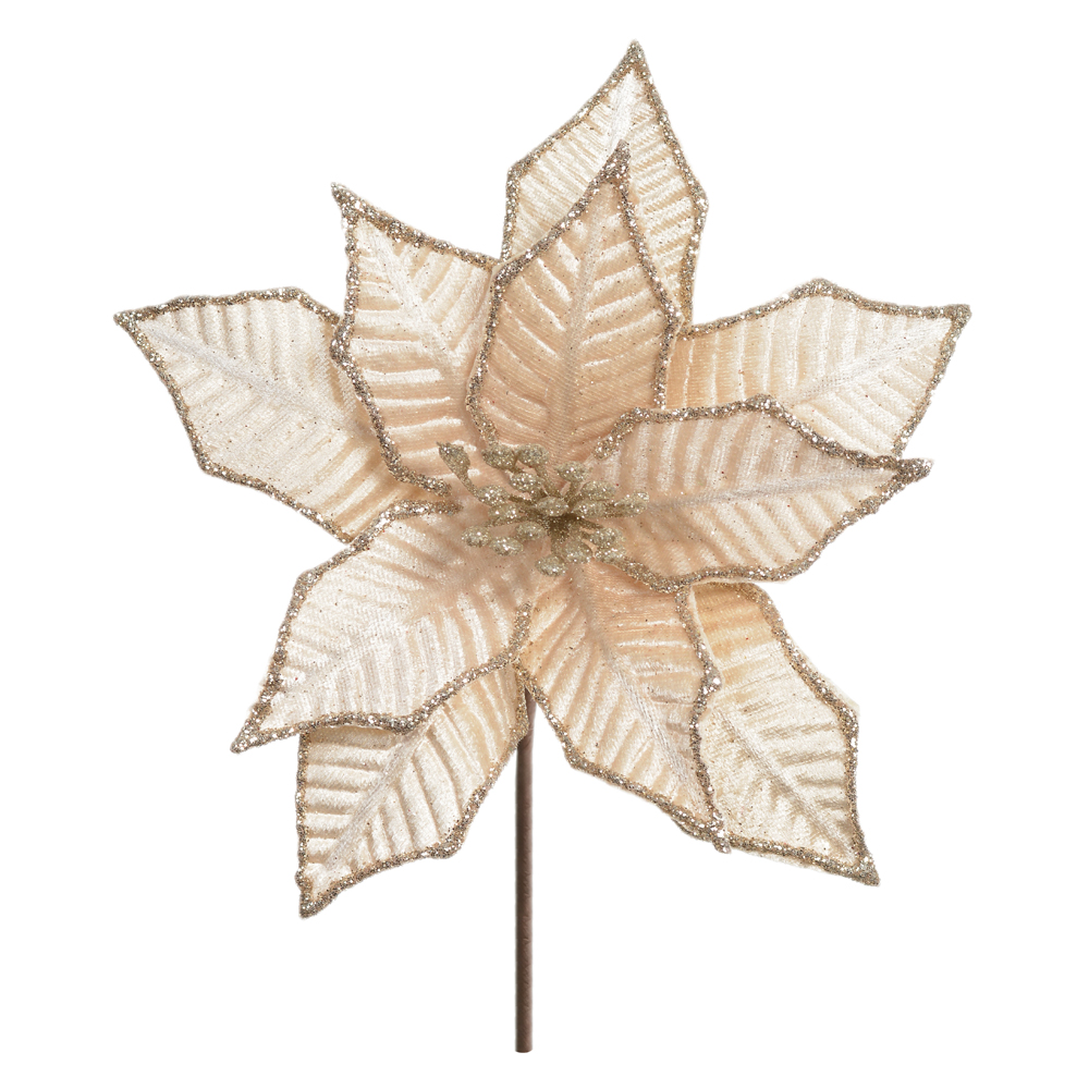 H.BICO DE PAPAGAIO NATAL AVELUDADO (DOURADO) 20cm 21d