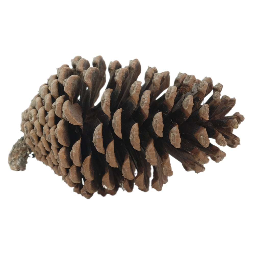ENFEITE NATAL PINHA (BEGE) 12cm