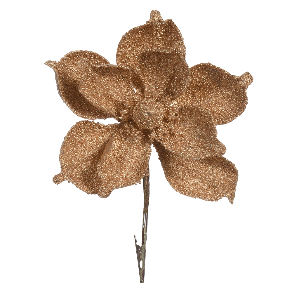 H.MAGNOLIA NATAL (CHAMPANHE) 21cm