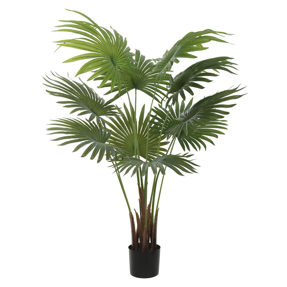 A.PALMEIRA LEQUE REAL TOQUE C/POTE X10 (VERDE) 1,2m
