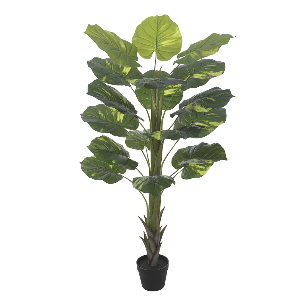 A.JIBOIA REAL TOQUE C/POTE X18 (VERDE) 1,4m