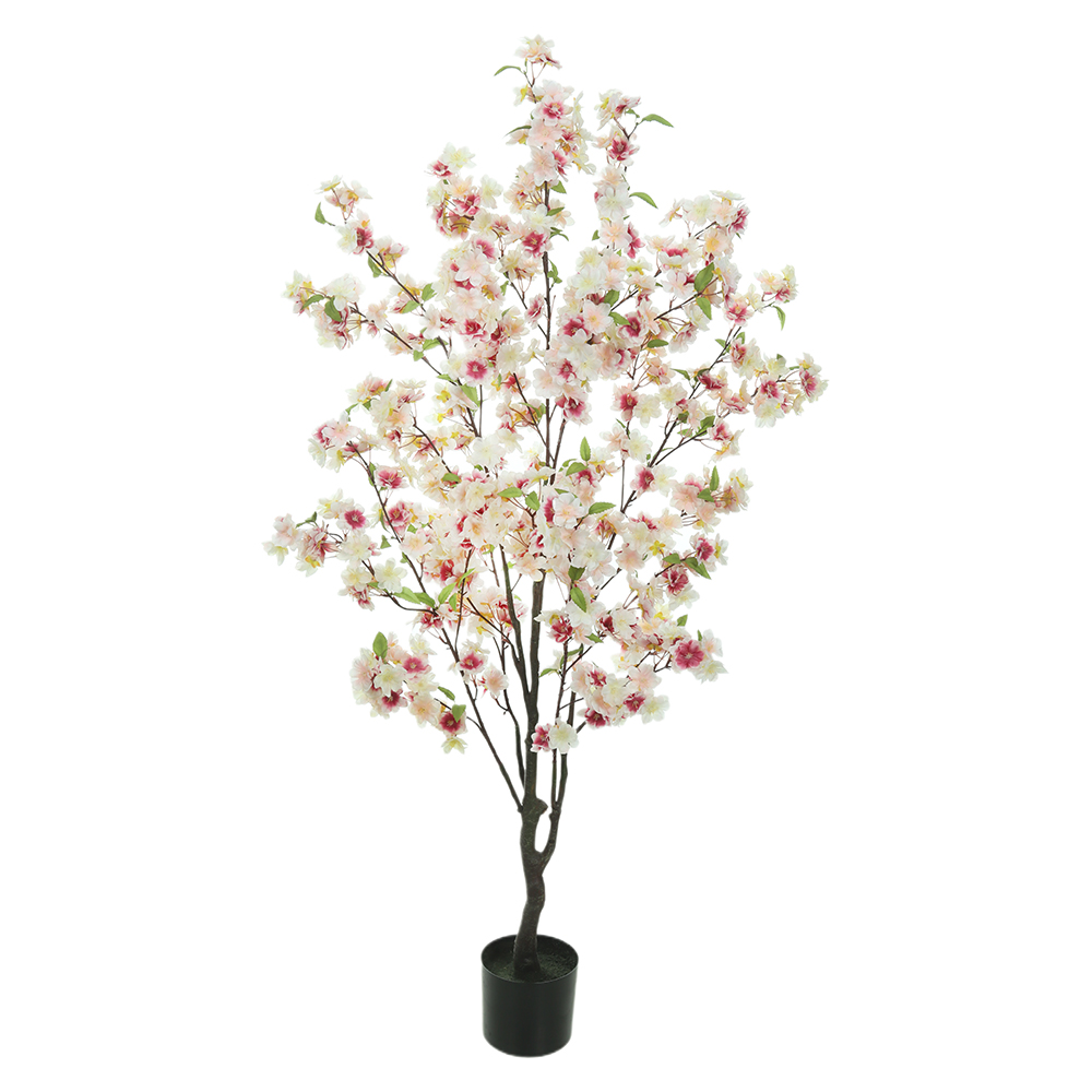A.CEREJEIRA C/POTE X744 (BRANCO ROSA) 1,4m