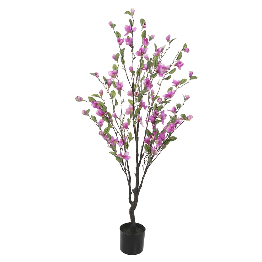 A.MAGNOLIA C/POTE X85 (ROSA) 1,4m