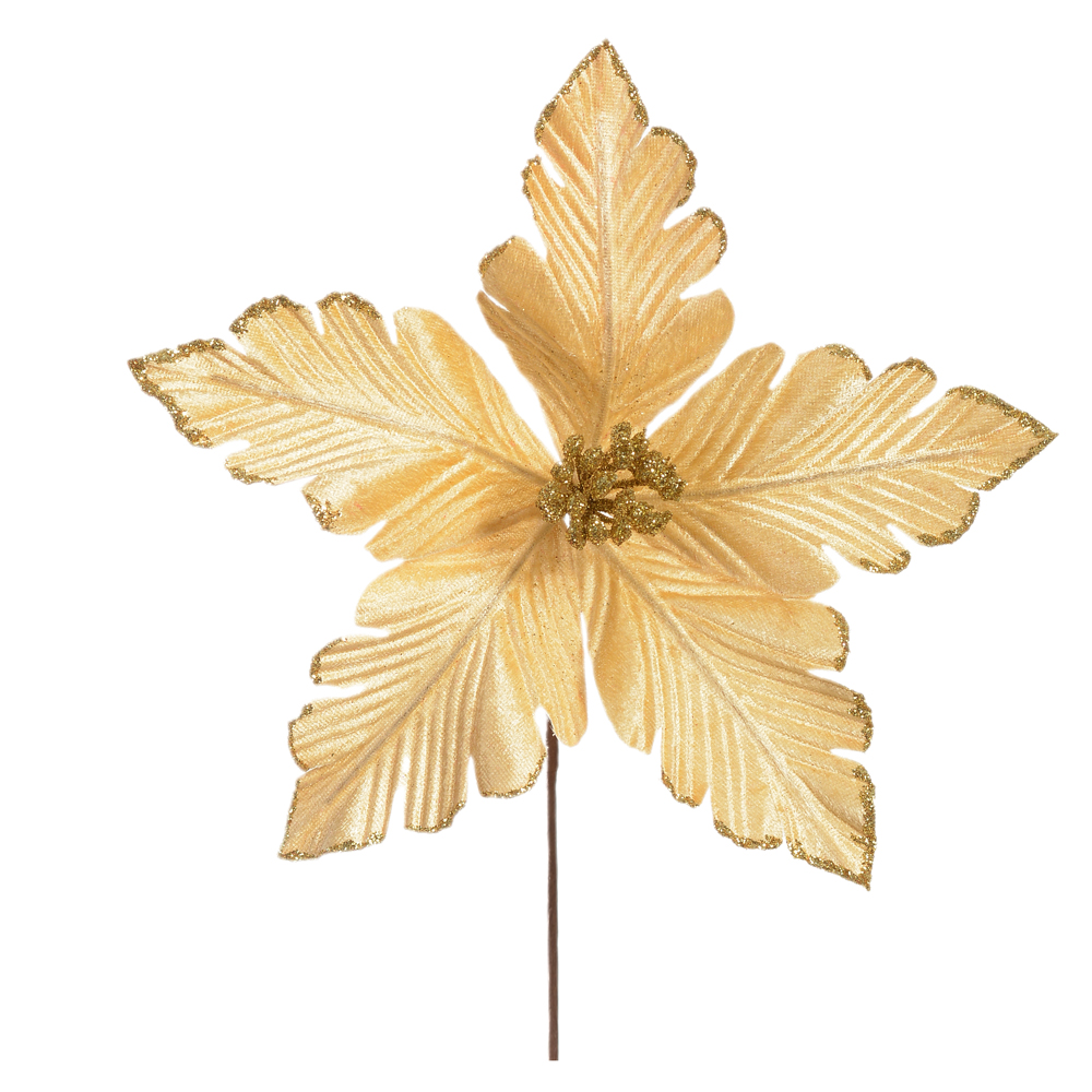 H.BICO DE PAPAGAIO NATAL AVELUDADO (DOURADO) 15cm 25d