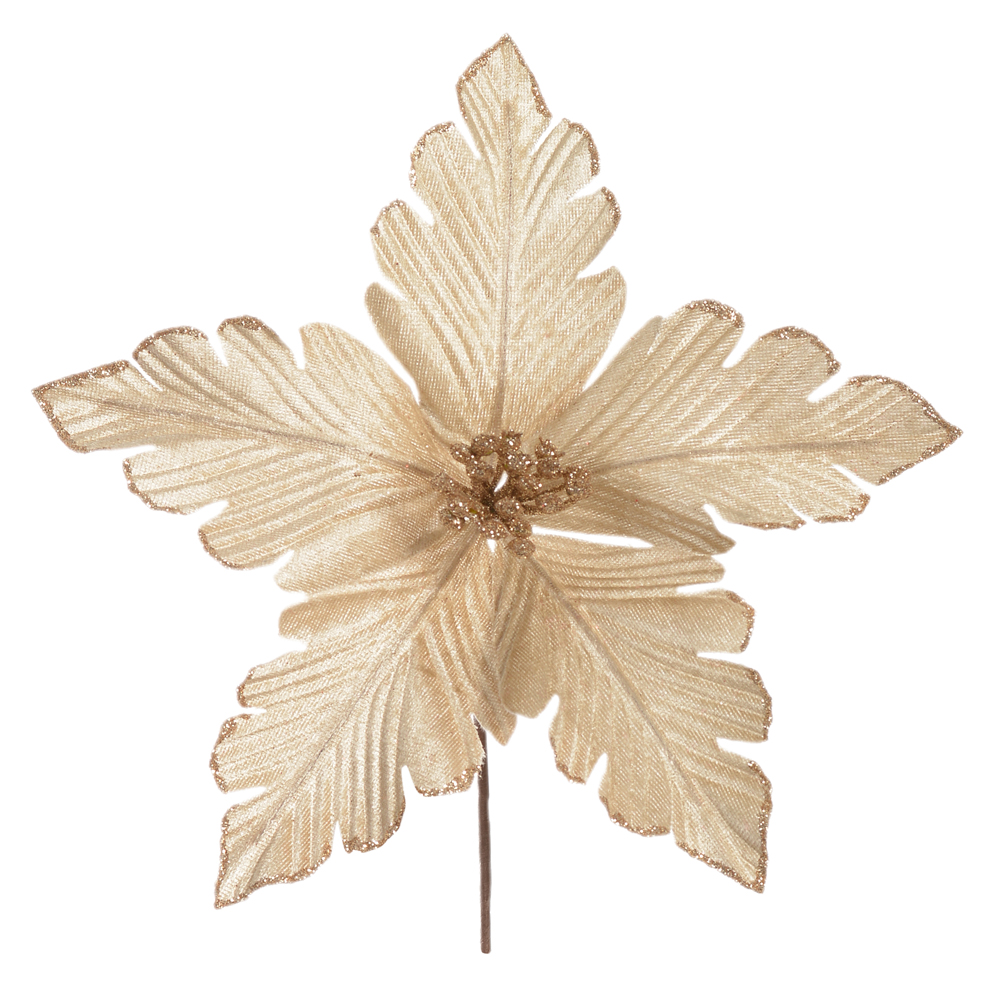 H.BICO DE PAPAGAIO NATAL AVELUDADO (CHAMPANHE) 15cm 25d