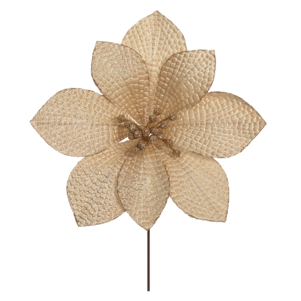 H.BICO DE PAPAGAIO NATAL AVELUDADO (CHAMPANHE) 16cm 24d