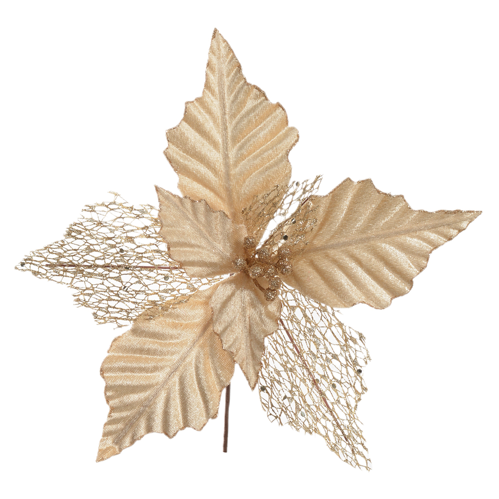 H.BICO DE PAPAGAIO NATAL AVELUDADO (CHAMPANHE) 15cm 25d