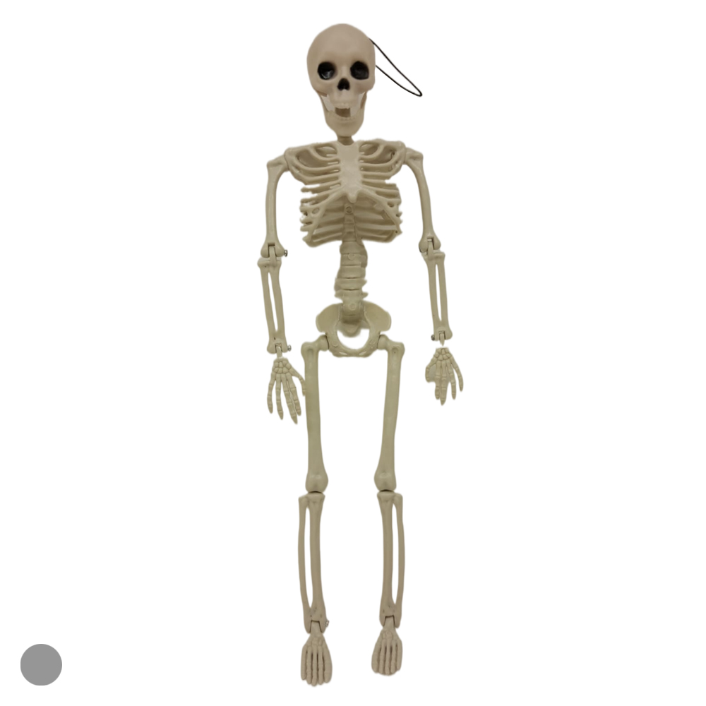 ESQUELETO MOVEL ARTICULADO (BRANCO) 40cm