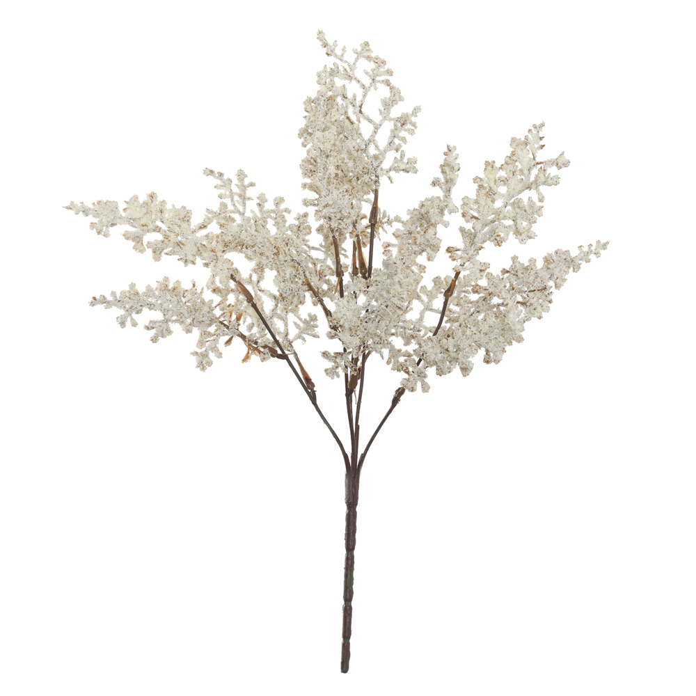 B.GYPSO X15 (CREME) 36cm