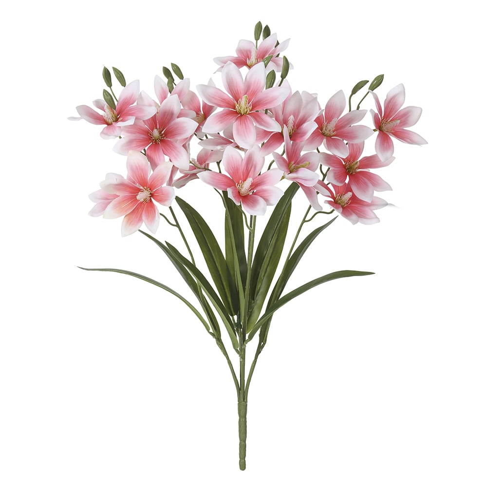 B.IXIA REAL TOQUE X20 (ROSA 2T) 58cm