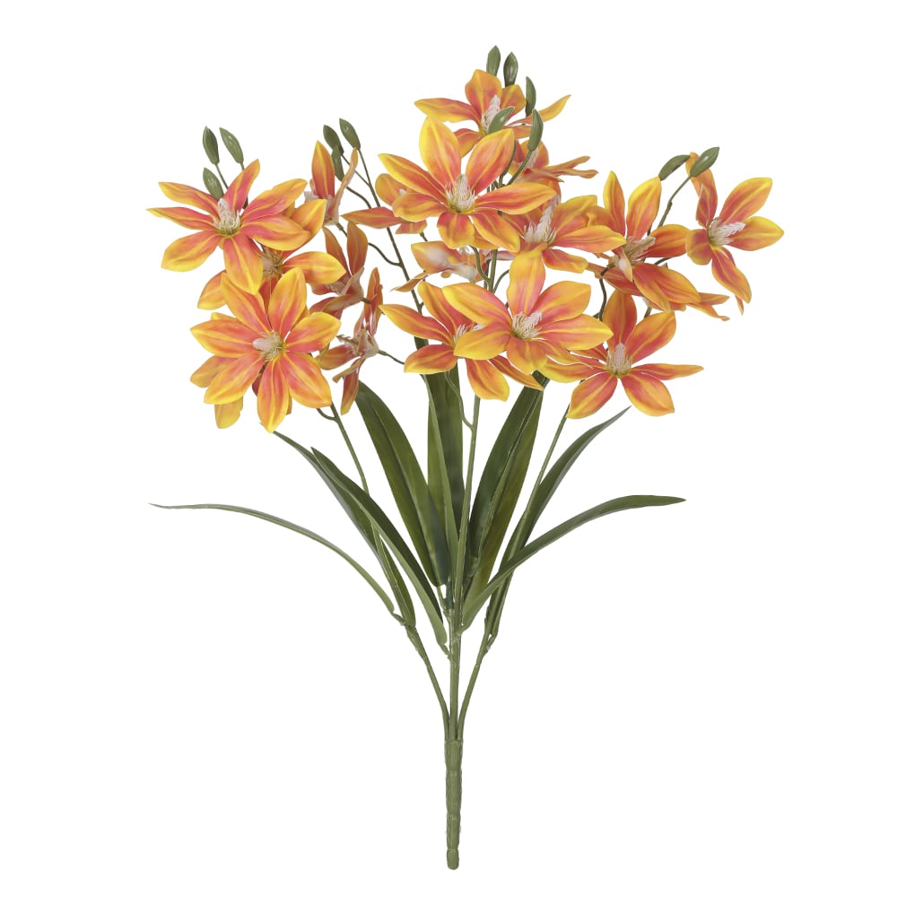 B.IXIA REAL TOQUE X20 (LARANJA 2T) 58cm