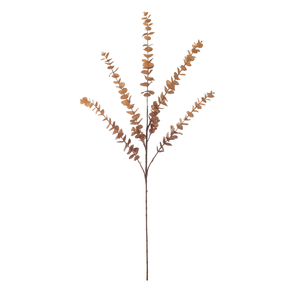 C.GALHO EUCALIPTO ARAMADO PLT X5 (OCRE) 90cm