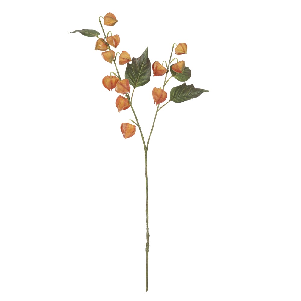 H.FISALIS REAL TOQUE X13 (LARANJA OUTONO) 82cm
