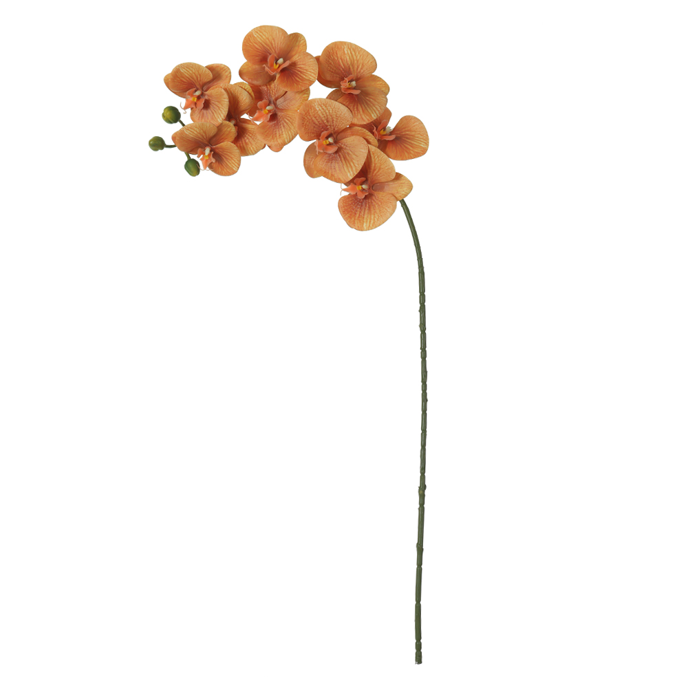 H.ORQUIDEA PHALAENOPSIS REAL TOQUE C/COAT X9 (OCRE) 98cm