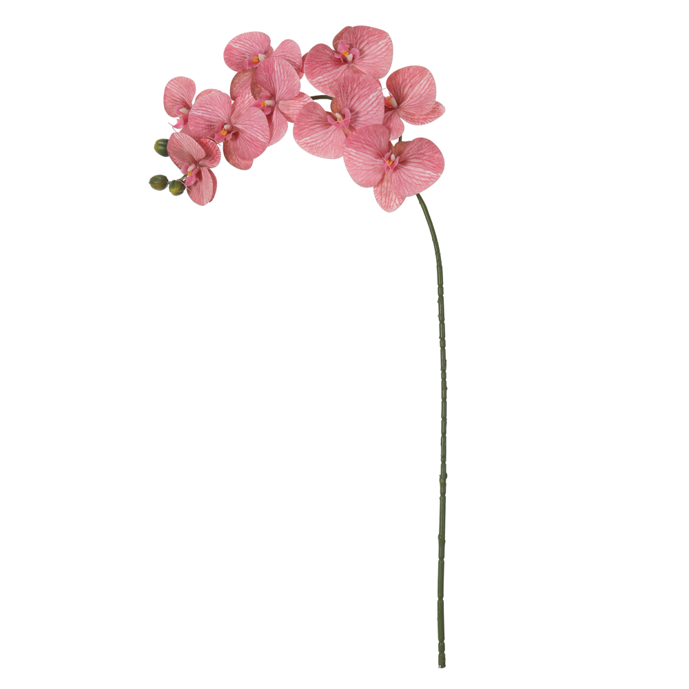 H.ORQUIDEA PHALAENOPSIS REAL TOQUE C/COAT X9 (ROSA ANTIGO) 98cm