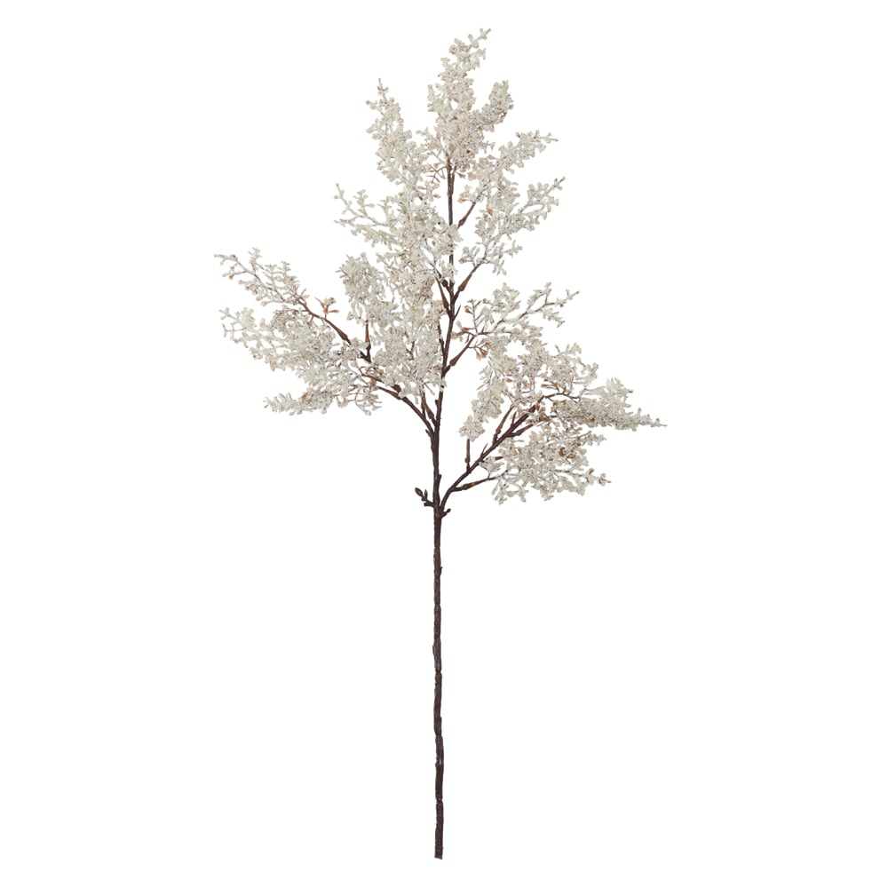 C.GALHO GYPSO X23 (OFF WHITE) 64cm