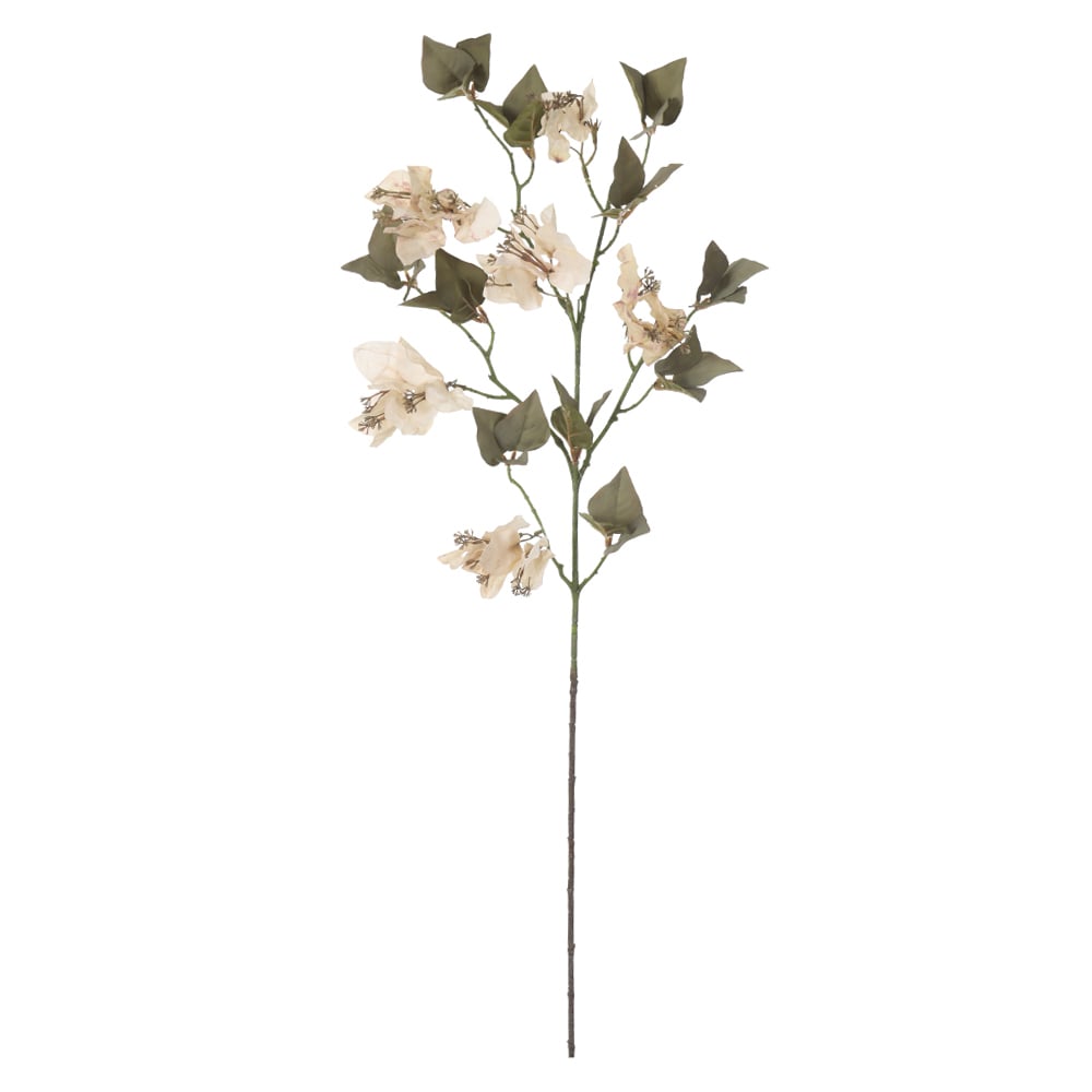 H.BOUGAINVILLE X18 (CREME OUTONO) 84cm