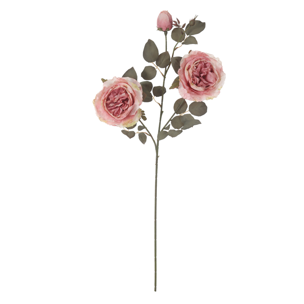 H.PEONIA X3 (ROSA OUTONO) 76cm