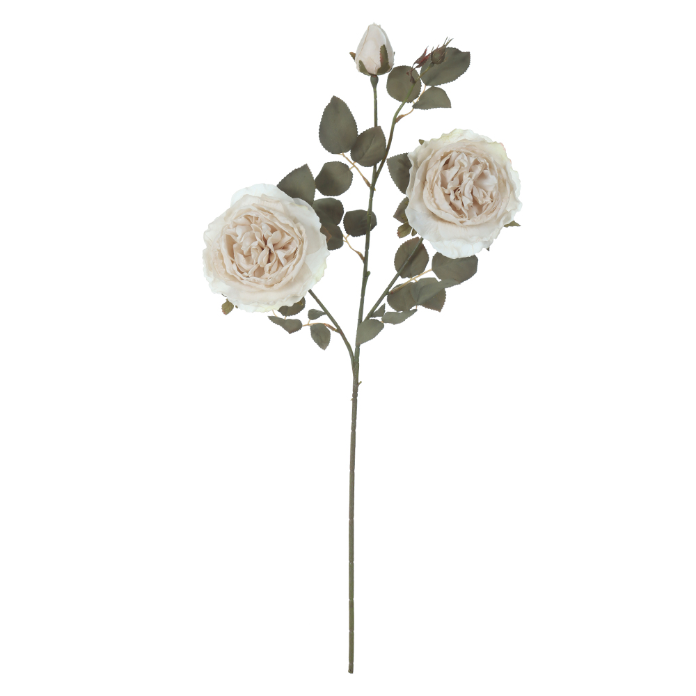 H.PEONIA X3 (CREME OUTONO) 76cm