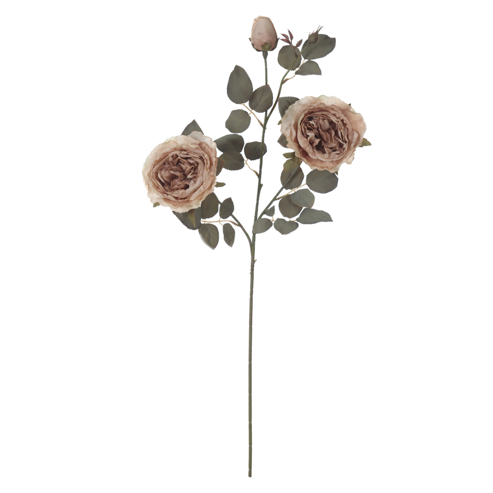 H.PEONIA X3 (CHA OUTONO) 76cm