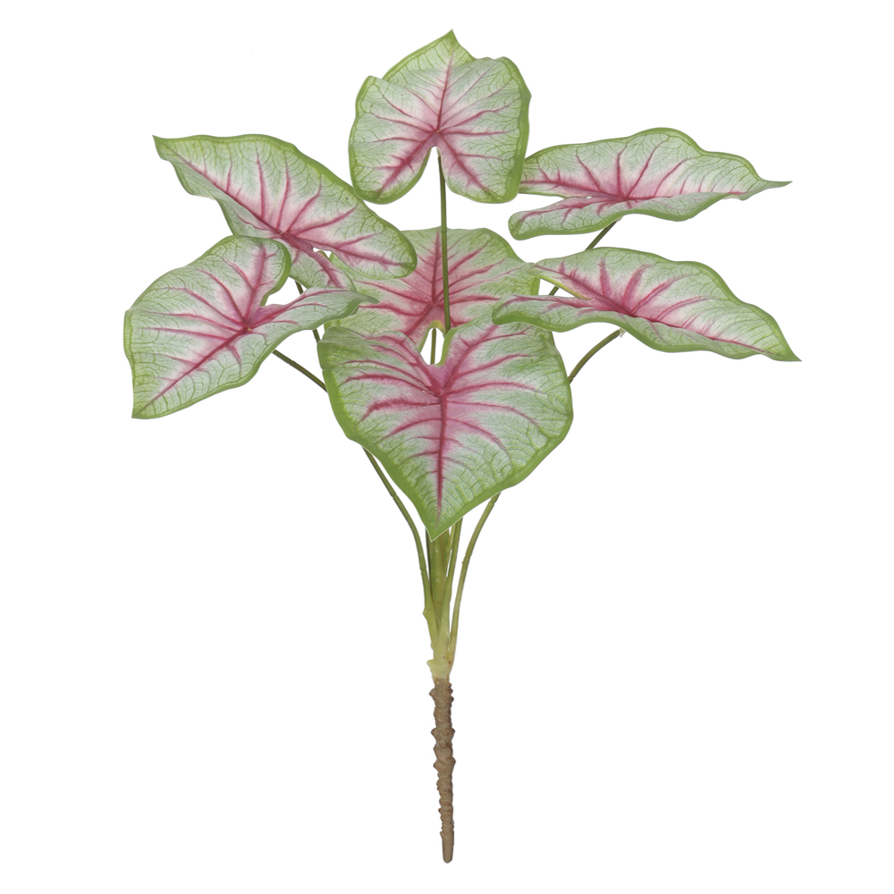 F.CALADIUM FORRACAO REAL TOQUE X7 (VERDE BRANCO) 65cm