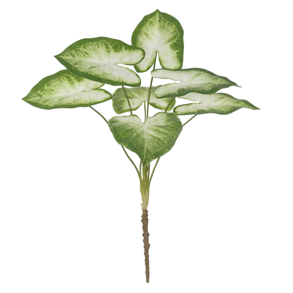 F.CALADIUM FORRACAO REAL TOQUE X7 (VERDE BRANCO) 65cm