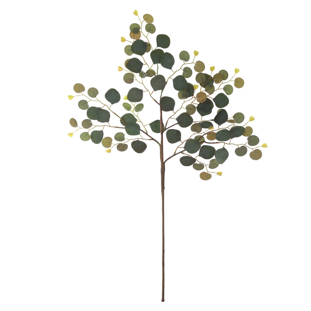 C.GALHO EUCALIPTO X80 (VERDE) 89cm