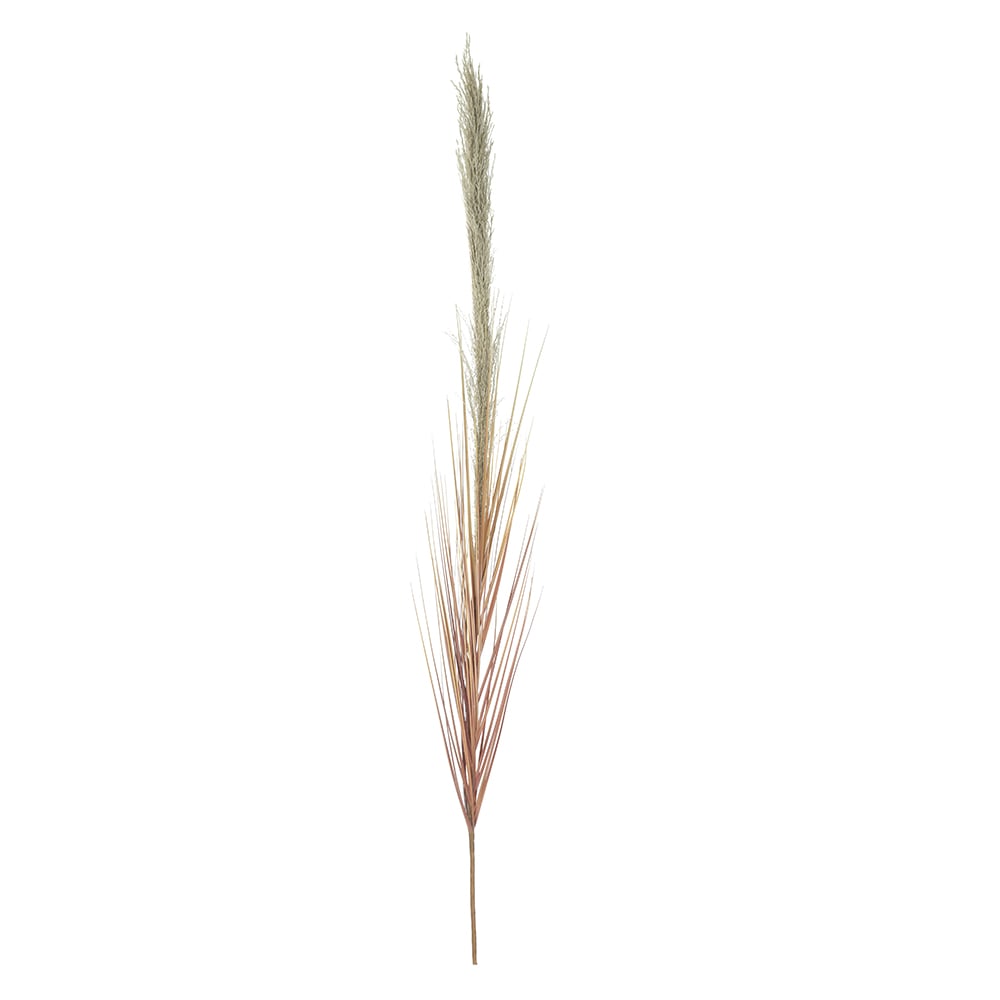 C.CAPIM DOS PAMPAS C/PRINT (OCRE) 1,39m