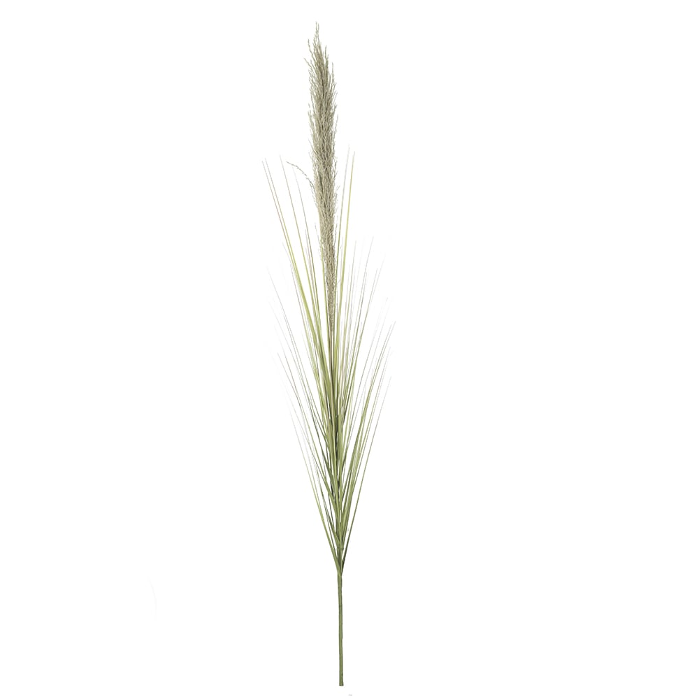 C.CAPIM DOS PAMPAS C/PRINT (VERDE OLIVA) 1,39m