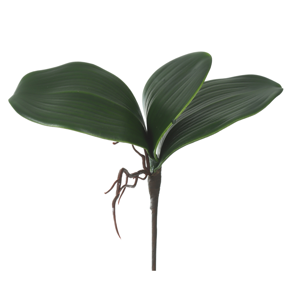 F.FOLHA ORQUIDEA PHALAENOPSIS C/ARAME X3 (VERDE) 20cm
