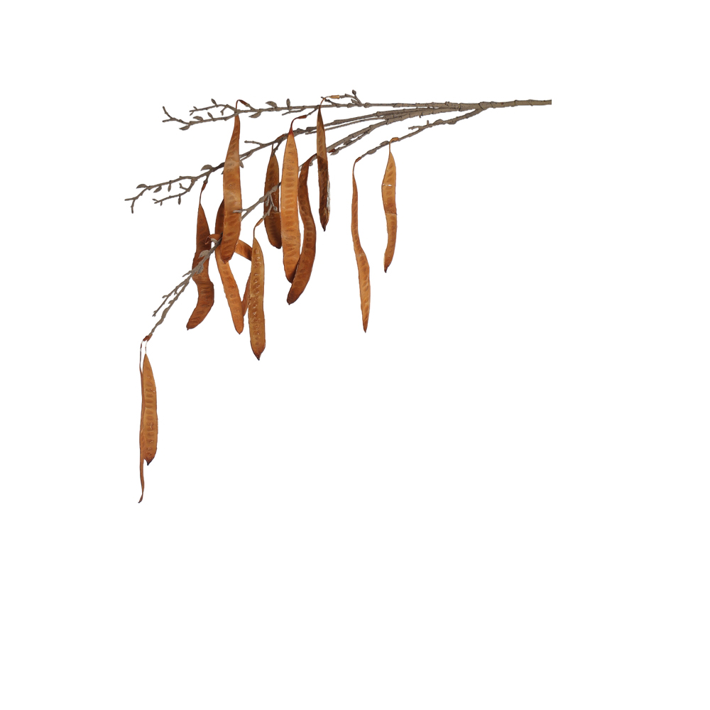 C.GALHO SEMENTES SILICONE X13 (MARROM) 1,1m