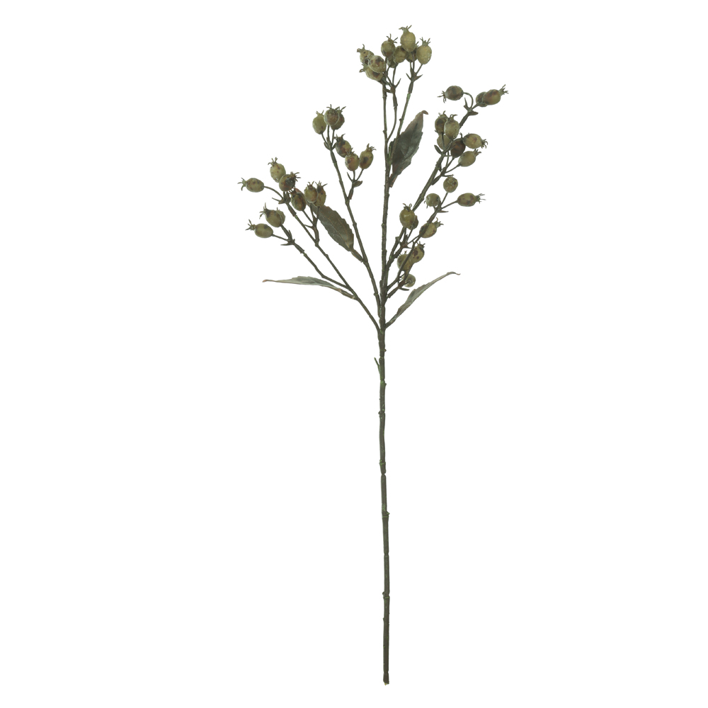 C.GALHO SEMENTES X42 (VERDE OUTONO) 69cm