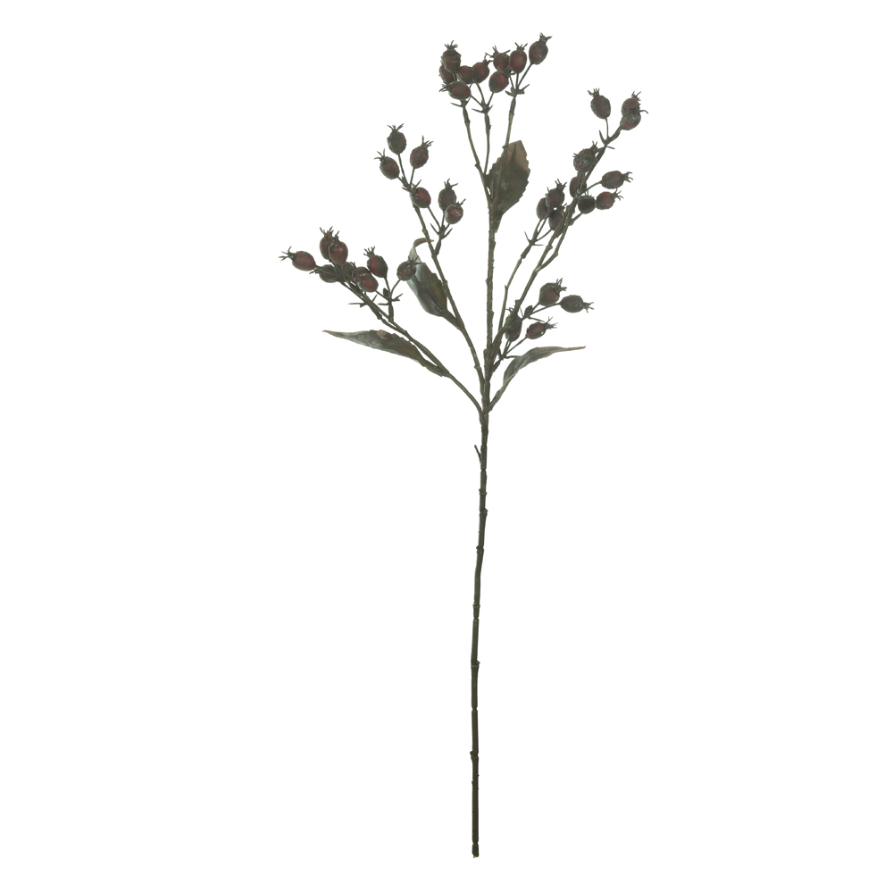 C.GALHO SEMENTES X42 (MARROM OUTONO) 69cm