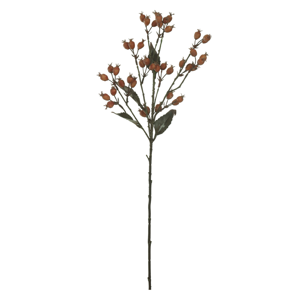 C.GALHO SEMENTES X42 (LARANJA OUTONO) 69cm