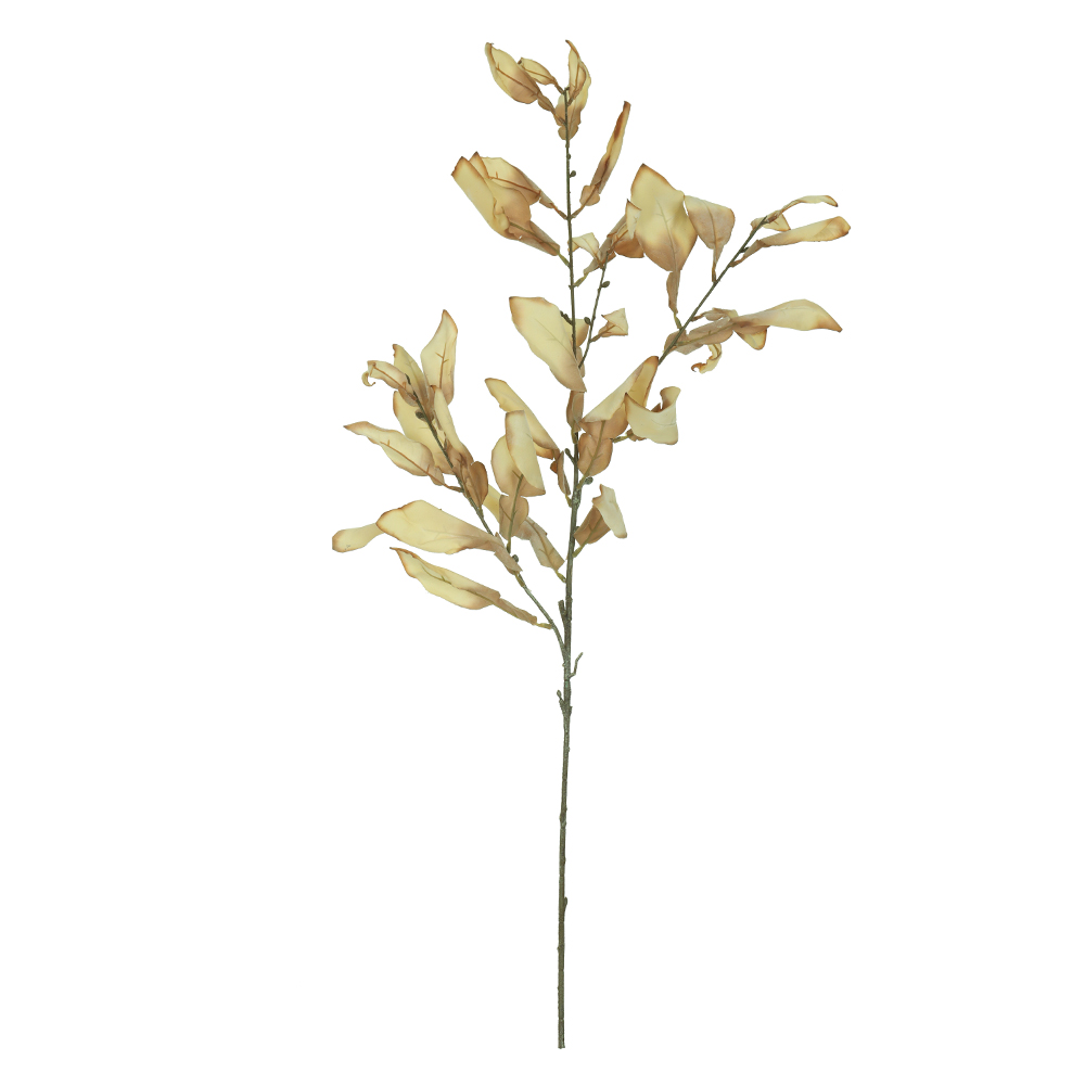 C.GALHO FOLHA X39 (CREME OUTONO) 97cm