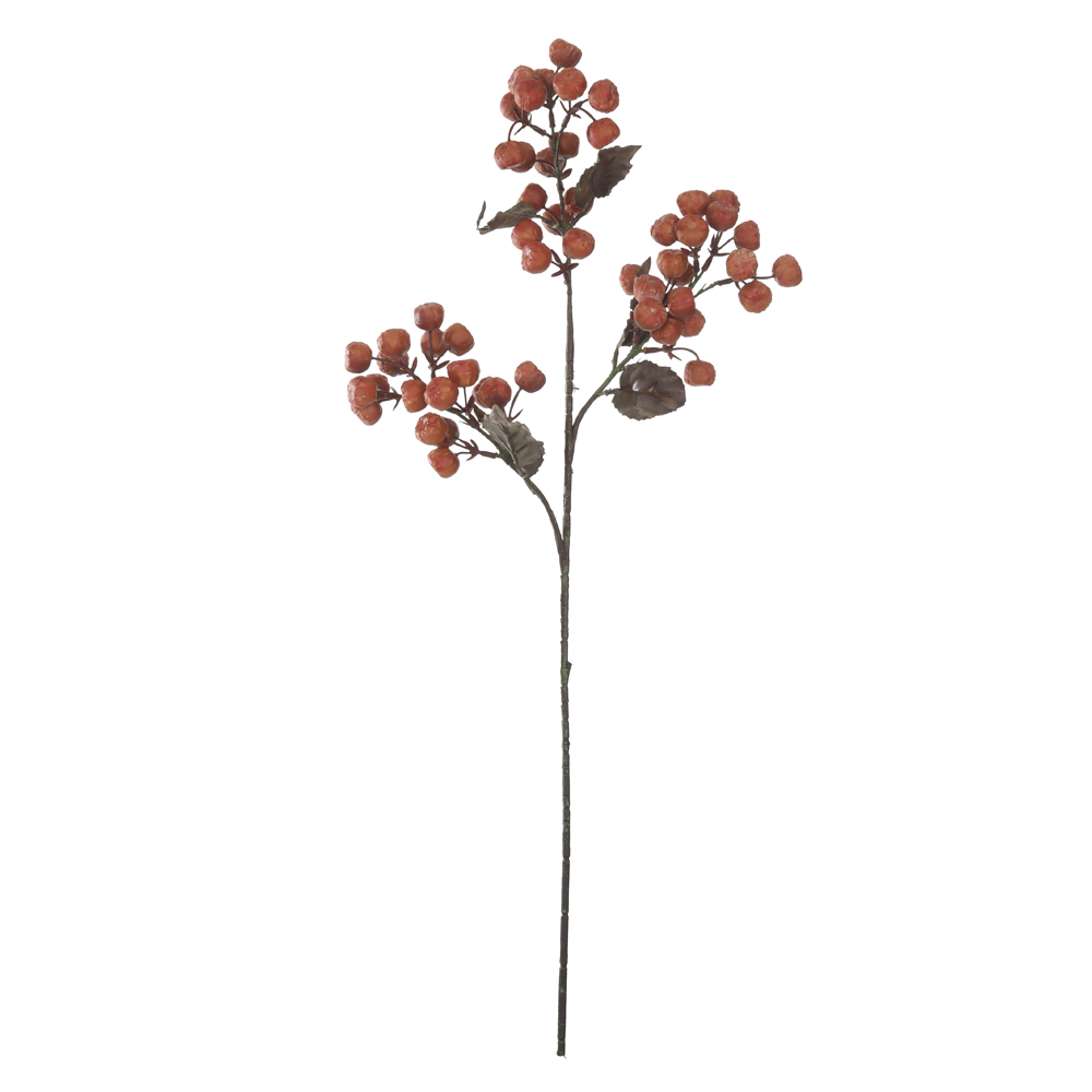 C.GALHO SEMENTES X54 (LARANJA OUTONO) 76cm