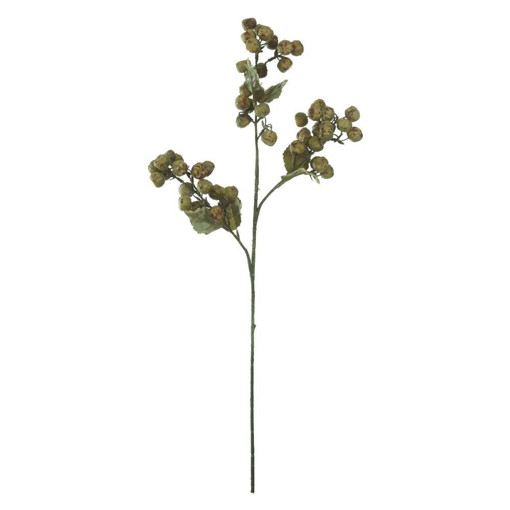 C.GALHO SEMENTES X54 (VERDE OUTONO) 76cm