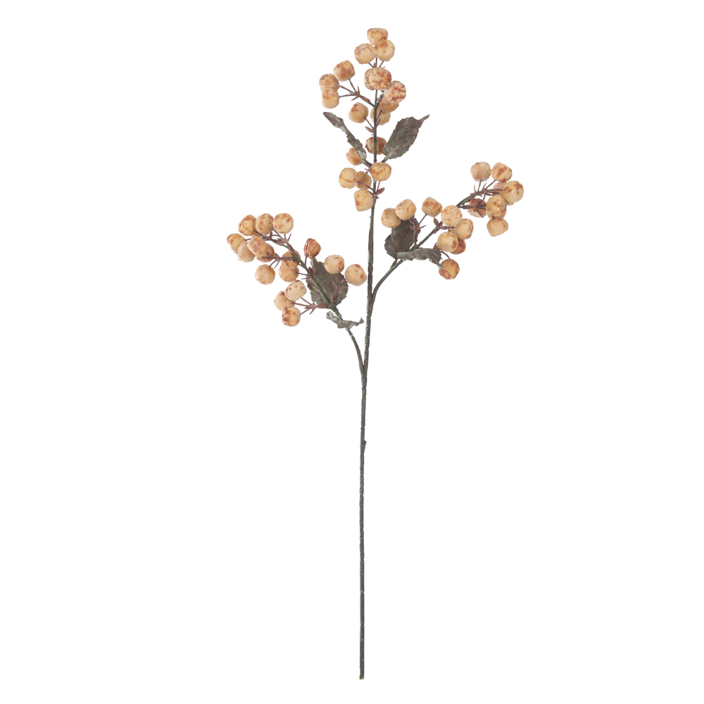 C.GALHO SEMENTES X54 (CHA 2T OUTONO) 76cm