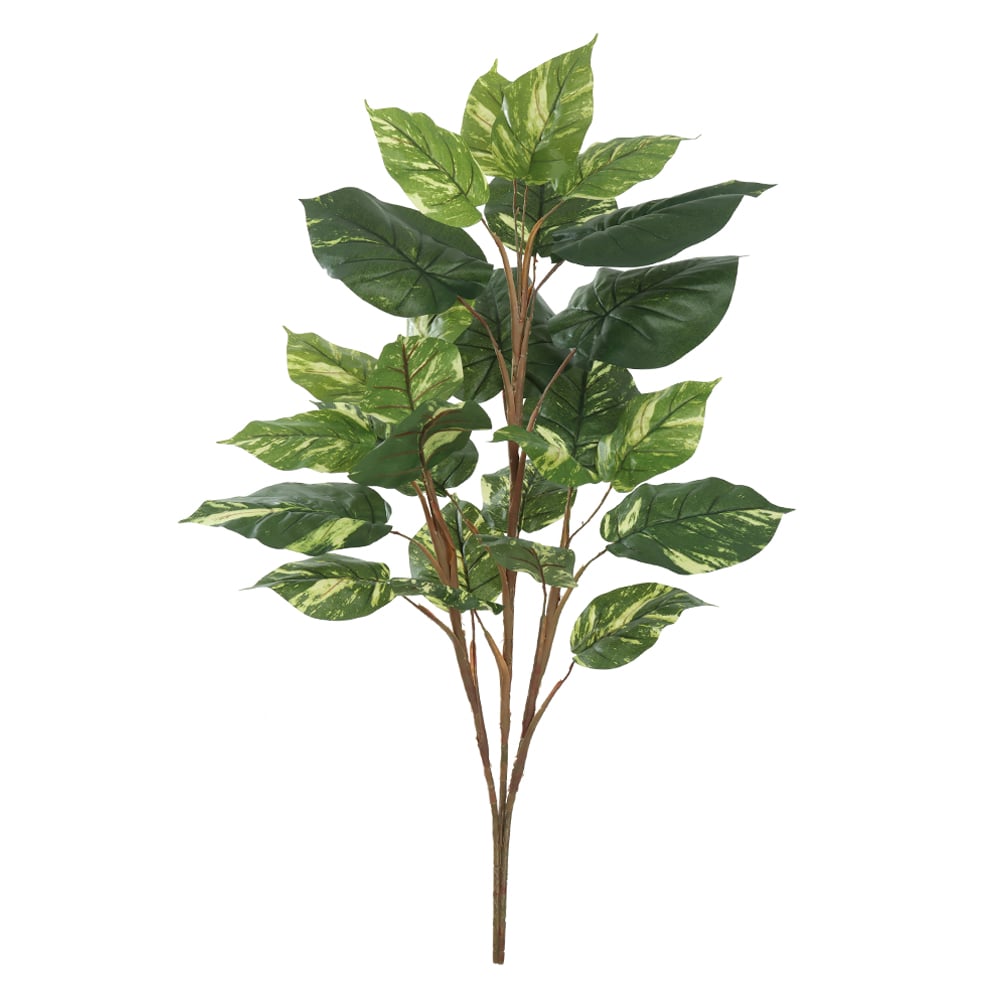 A.JIBOIA X23 (VERDE CREME) 1m