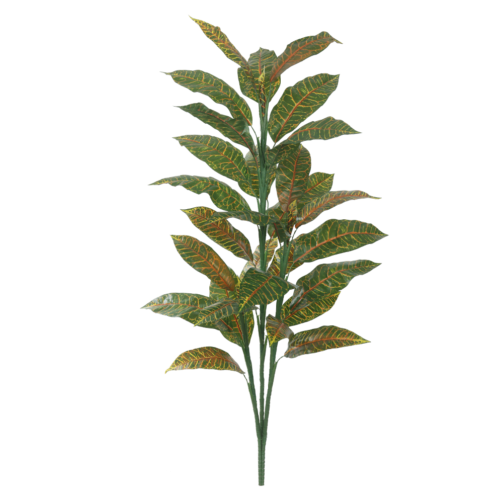 A.CROTON X31 (VERDE) 1,5m