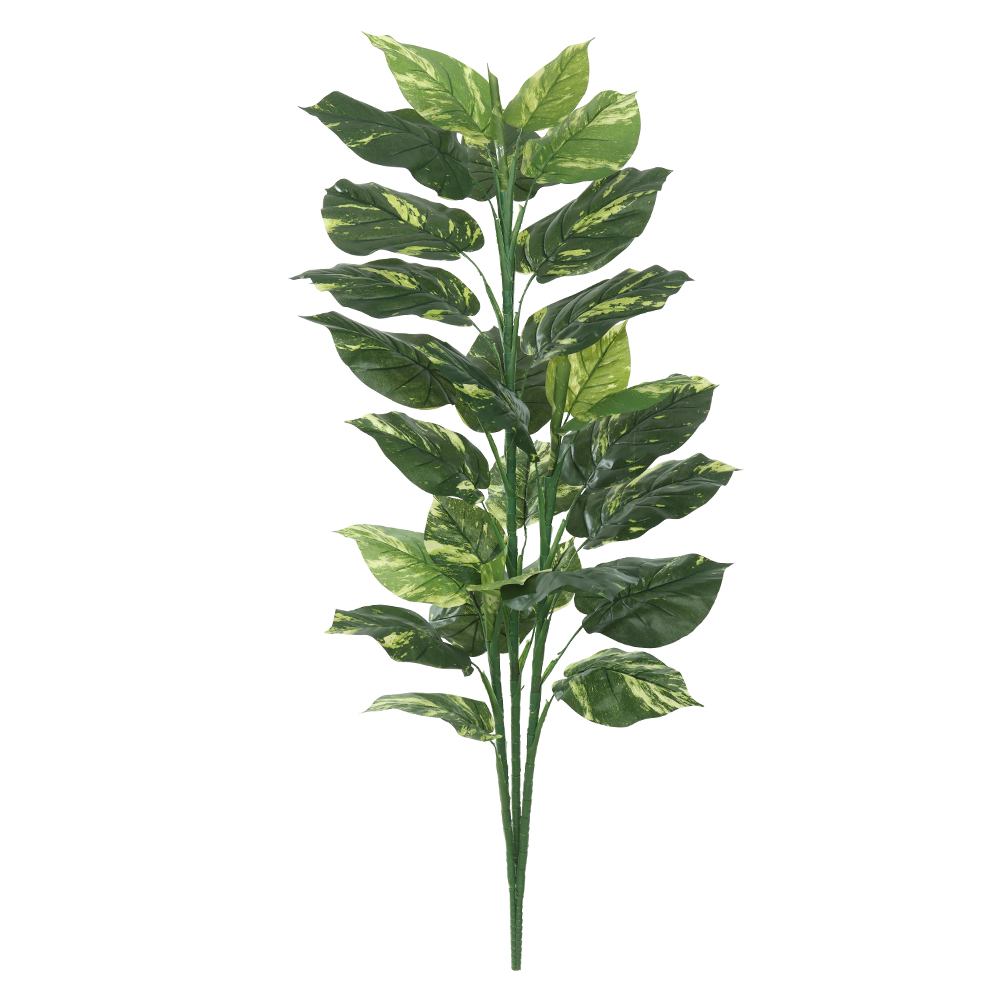 A.JIBOIA X31 (VERDE CREME) 1,5m