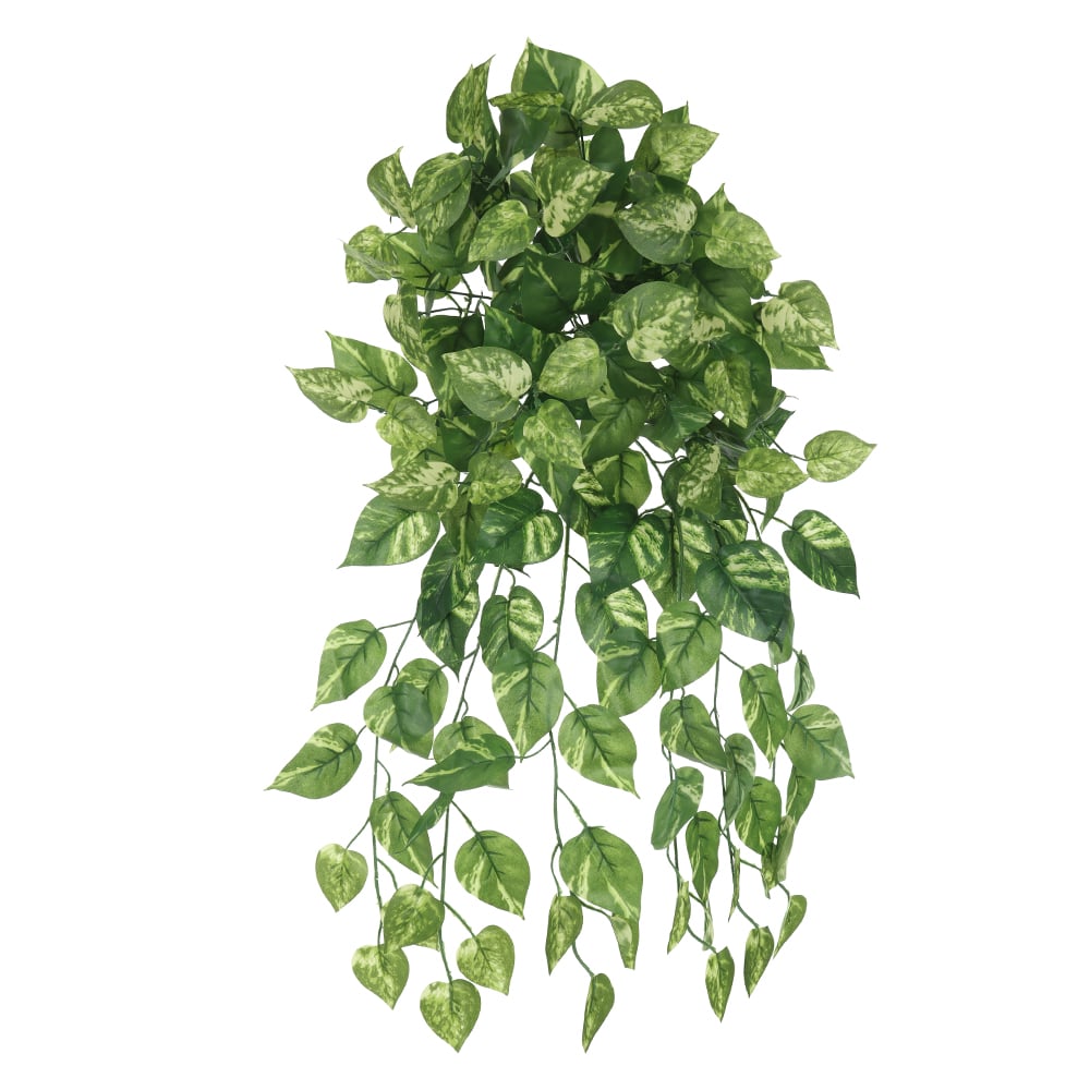 F.JIBOIA PENDURAR X168 (VERDE CREME) 64cm