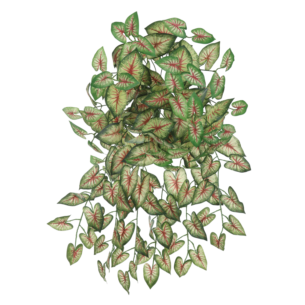F.CALADIUM PENDURAR X168 (VERDE VERMELHO) 64cm